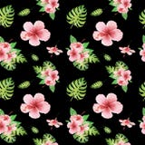Tropisches nahtloses mit Blumenmuster des Aquarells mit grünen monstera Blättern und rosa Hibiscusblumen auf Schwarzem vektor abbildung Tropisches nahtloses mit Blumenmuster des Aquarells mit grünen monstera Blättern und rosa Hibiscusblumen auf Schwarzem vektor abbildung