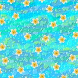 Tropisk blommaplumeria vektor illustrationer Tropisk blommaplumeria vektor illustrationer