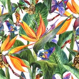 Tropisk sömlös modell med exotiska blommor vektor illustrationer Tropisk sömlös modell med exotiska blommor vektor illustrationer