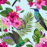Tropisk sömlös modell med kolibri-, HibisÑ oss blommor och palmblad Blom- bakgrund med fåglar för tyg royaltyfri illustrationer Tropisk sömlös modell med kolibri-, HibisÑ oss blommor och palmblad Blom- bakgrund med fåglar för tyg royaltyfri illustrationer