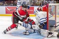 Trote iridee di Mississauga contro Ottawa 67 Gioco di hockey fotografia stock libera da diritti Trote iridee di Mississauga contro Ottawa 67 Gioco di hockey fotografia stock libera da diritti