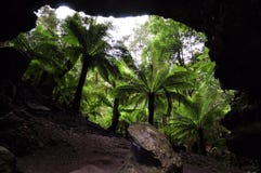 Amazing landscape at Trowutta Arch, tasmania in Australia stock photo Amazing landscape at Trowutta Arch, tasmania in Australia stock photo