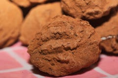 trufas fotografía de archivo libre de regalías trufas fotografía de archivo libre de regalías