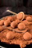 Trufas de chocolate imagen de archivo libre de regalías Trufas de chocolate imagen de archivo libre de regalías