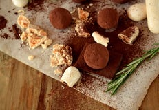 Trufas de chocolate polvilhadas com o pó de cacau foto de stock royalty free Trufas de chocolate polvilhadas com o pó de cacau foto de stock royalty free