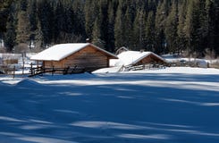 trä för vinter för plats för skoglake fridsamt Små stugor längs en trädlinje i en solig vinterdag Snöig saga i Bulgarien arkivfoton trä för vinter för plats för skoglake fridsamt Små stugor längs en trädlinje i en solig vinterdag Snöig saga i Bulgarien arkivfoton