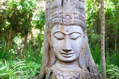 TräBuddhastaty på grön trädbakgrund arkivbild TräBuddhastaty på grön trädbakgrund arkivbild