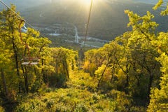 Träd i skogen, berglandskap, härlig sikt av bergen, folk i bergen, naturreserv arkivbilder Träd i skogen, berglandskap, härlig sikt av bergen, folk i bergen, naturreserv arkivbilder