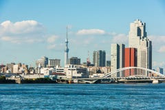 Träd och bro för Tokyo hamnhimmel arkivfoto Träd och bro för Tokyo hamnhimmel arkivfoto