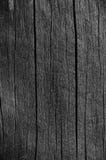 Trädetalj för plankabrädeGrey Black Wood Tar Paint textur, stor gammal åldrig mörk Gray Detailed Cracked Timber Rustic makroClose royaltyfria bilder Trädetalj för plankabrädeGrey Black Wood Tar Paint textur, stor gammal åldrig mörk Gray Detailed Cracked Timber Rustic makroClose royaltyfria bilder