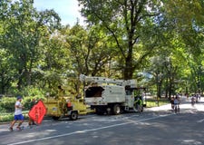 Trädkirurger som arbetar bland folk som tycker om Central Park, New York City, USA arkivfoton Trädkirurger som arbetar bland folk som tycker om Central Park, New York City, USA arkivfoton