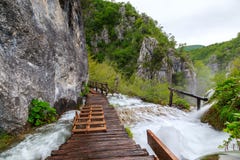 Träturist- bana i Plitvice sjönationalpark Arkivfoto Träturist- bana i Plitvice sjönationalpark Arkivfoto