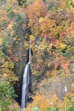 Tsumijikura Taki vattenfall Fukushima Royaltyfri Fotografi Tsumijikura Taki vattenfall Fukushima Royaltyfri Fotografi