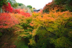Tsutenkyo most obrazy royalty free Tsutenkyo most obrazy royalty free