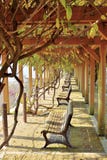 Tsuyama-Schlosspark mit Standpunktbänke lizenzfreie stockbilder Tsuyama-Schlosspark mit Standpunktbänke lizenzfreie stockbilder