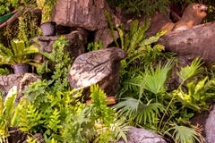Tuin die met stenen en bomen wordt verfraaid royalty-vrije stock fotografie Tuin die met stenen en bomen wordt verfraaid royalty-vrije stock fotografie