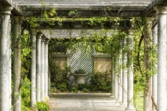 Tuin, wijnstokken, gang stock fotografie Tuin, wijnstokken, gang stock fotografie