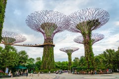 Tuinen door de baai met het Supertree-Bosje in Singapore stock foto Tuinen door de baai met het Supertree-Bosje in Singapore stock foto