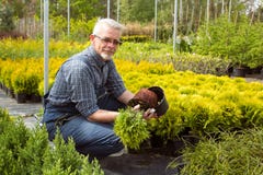Tuinman die een kleine zaailingsinstallatie in tuinmarkt houden royalty-vrije stock afbeeldingen Tuinman die een kleine zaailingsinstallatie in tuinmarkt houden royalty-vrije stock afbeeldingen