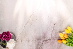 Tulip flower and white purple carnation on crack white cement background spring concept stock images Tulip flower and white purple carnation on crack white cement background spring concept stock images