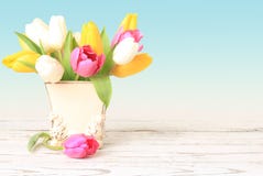 Tulips royalty free stock photos Tulips royalty free stock photos