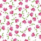 A tulipa cor-de-rosa ou floresce lilly o teste padrão da aquarela ilustração do vetor A tulipa cor-de-rosa ou floresce lilly o teste padrão da aquarela ilustração do vetor