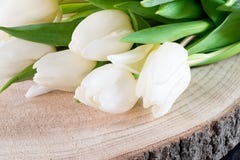 Tulipanes blancos imagen de archivo Tulipanes blancos imagen de archivo