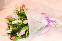 Tulipany fotografia royalty free Tulipany fotografia royalty free