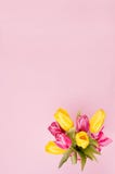 Tulipas frescas da mola amarelas e ramalhete vermelho no fundo do rosa pastel Fotografia de Stock Tulipas frescas da mola amarelas e ramalhete vermelho no fundo do rosa pastel Fotografia de Stock