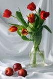 Tulips imagem de stock royalty free Tulips imagem de stock royalty free