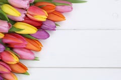Tulips flowers in spring or mother's day on wooden board
