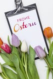 Tulips frescos no fundo branco Foto de Stock Royalty Free
