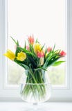 Tulips in glass vase Royalty Free Stock Photos Tulips in glass vase Royalty Free Stock Photos