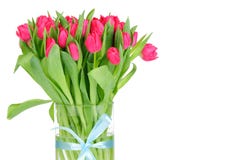 Tulips In The Vase Royalty Free Stock Photography