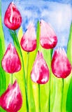Tulips with leaves close-up in the field against the sky. Watercolor illustration vector illustration Tulips with leaves close-up in the field against the sky. Watercolor illustration vector illustration
