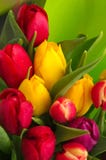 Tulpe-Blumenstrauß Tulpe-Blumenstrauß