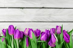 Tulpenbloemen op houten achtergrond stock fotografie Tulpenbloemen op houten achtergrond stock fotografie