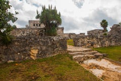 Tulum, Майя Ривьеры, Юкатан, Мексика: Величественные руины в Tulum Tulum курортный город на побережье Mexicos Вест-Индии стоковые фото Tulum, Майя Ривьеры, Юкатан, Мексика: Величественные руины в Tulum Tulum курортный город на побережье Mexicos Вест-Индии стоковые фото