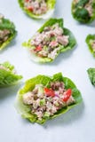 Tuna Cucumber Pepper Wraps photo libre de droits Tuna Cucumber Pepper Wraps photo libre de droits