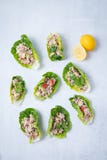 Tuna Lettuce Wraps royalty free stock photo Tuna Lettuce Wraps royalty free stock photo