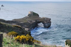 Tunnelstrand Dunedin, Nya Zeeland royaltyfri bild Tunnelstrand Dunedin, Nya Zeeland royaltyfri bild
