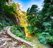Turda gorge Cheile Turzii is a natural reserve with marked trails for hikes on Hasdate River