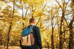 Turist eller handelsresande med en ryggsäck i höstskogen arkivbild Turist eller handelsresande med en ryggsäck i höstskogen arkivbild
