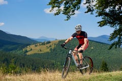 Turista atlético joven en la ropa de deportes que completa un ciclo una bici en alta hierba bajo rama de árbol verde grande fotografía de archivo Turista atlético joven en la ropa de deportes que completa un ciclo una bici en alta hierba bajo rama de árbol verde grande fotografía de archivo