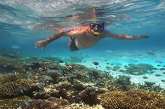 Turista snokelling en un filón coralino - Maldives imagen de archivo Turista snokelling en un filón coralino - Maldives imagen de archivo