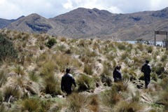 Turister på en slinga till en bergsjö i Antisana den ekologiska reserven, Ecuador royaltyfri foto Turister på en slinga till en bergsjö i Antisana den ekologiska reserven, Ecuador royaltyfri foto