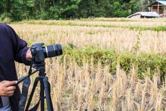 Turister tar foto av fältet fotografering för bildbyråer Turister tar foto av fältet fotografering för bildbyråer