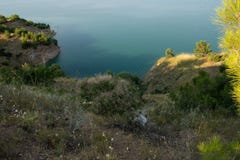 Turkiskt Adiyaman, 26 Juni, - 2019: Trevlig natur och att koppla av royaltyfri bild Turkiskt Adiyaman, 26 Juni, - 2019: Trevlig natur och att koppla av royaltyfri bild