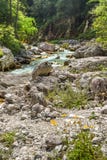 Turkoois gekleurde rivier in het Nationale Park van Triglav, Slovenië stock fotografie Turkoois gekleurde rivier in het Nationale Park van Triglav, Slovenië stock fotografie