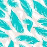 Turquoise Feathers Stock Photography